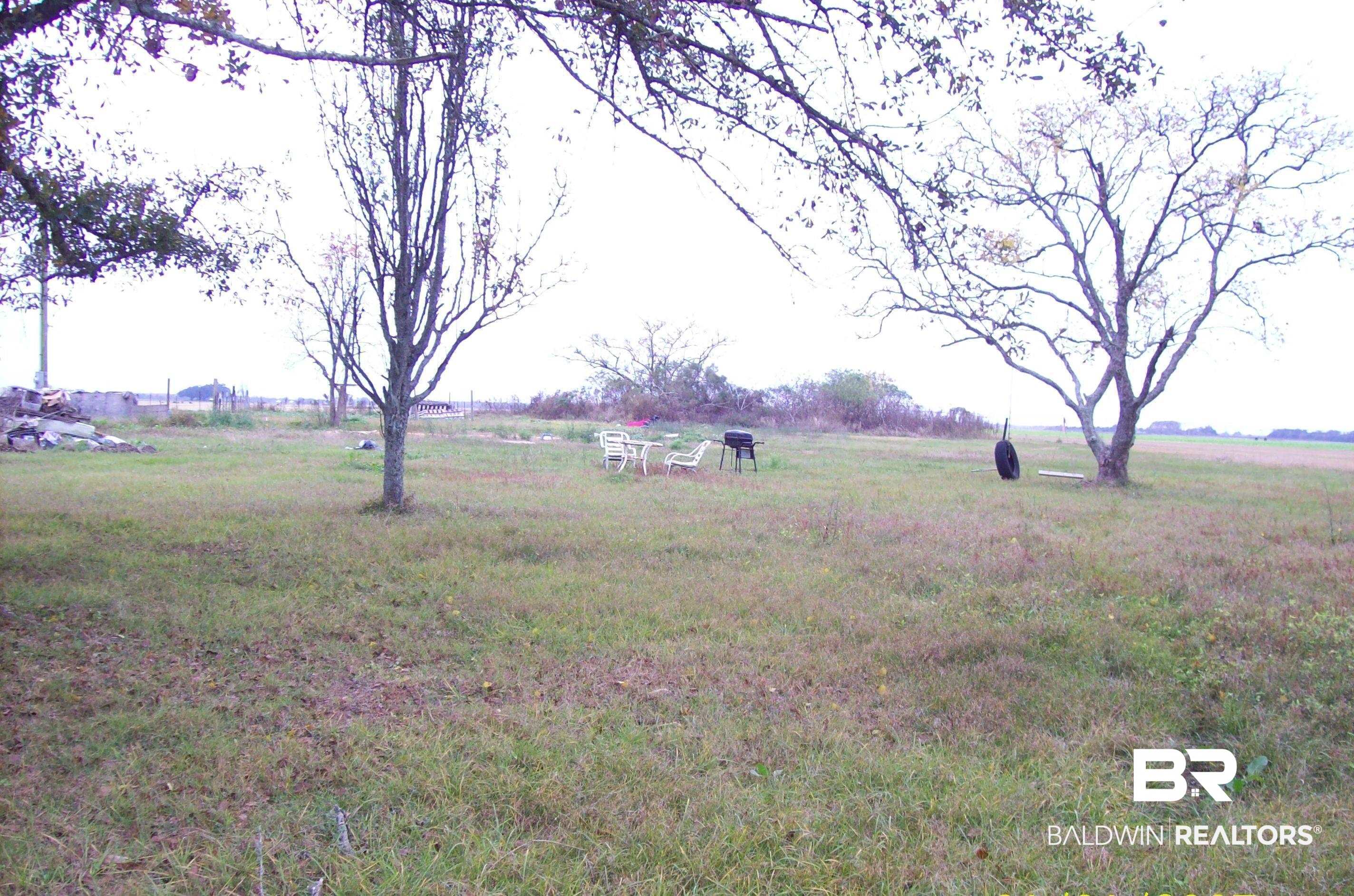 371378 | Photo 3