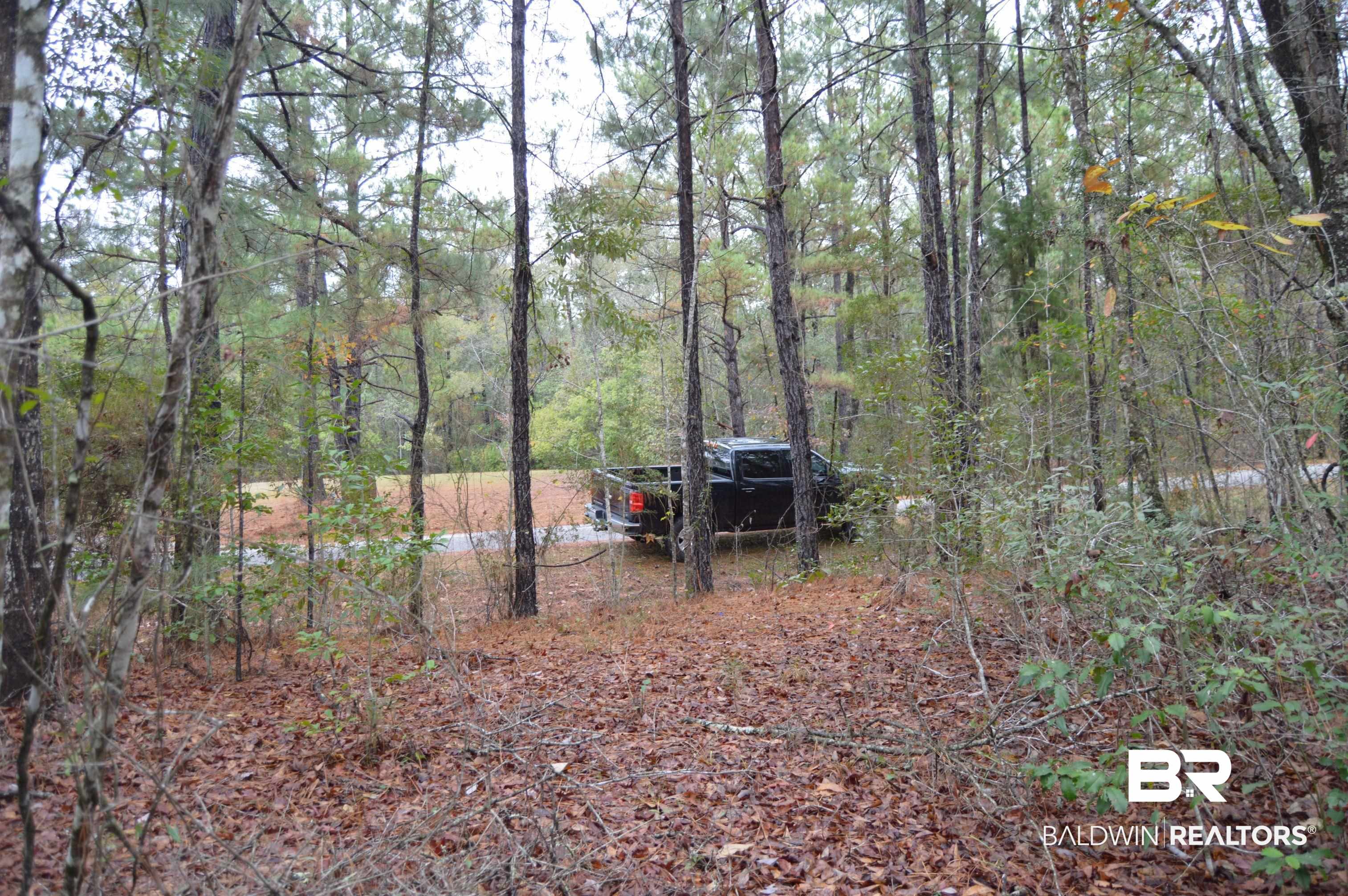 388790 | Photo 23