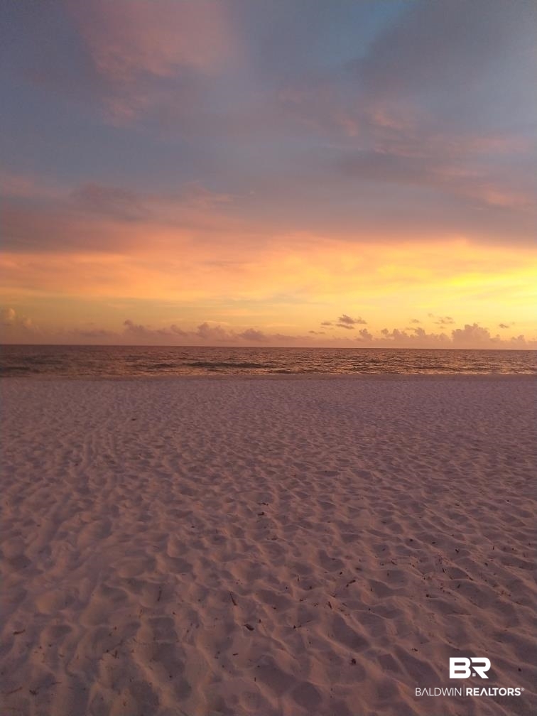 386698 | Photo 10