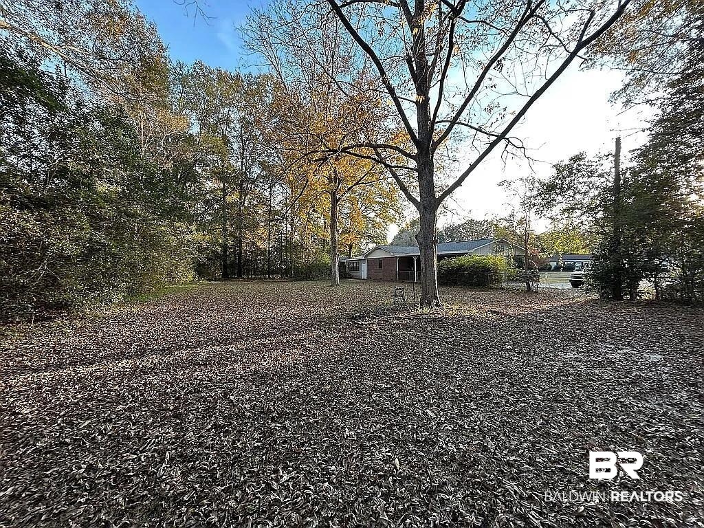 389110 | Photo 21