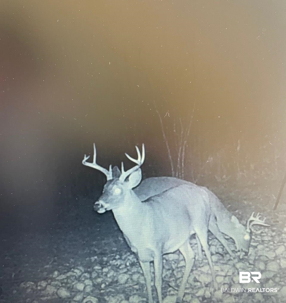 390773 | Photo 9