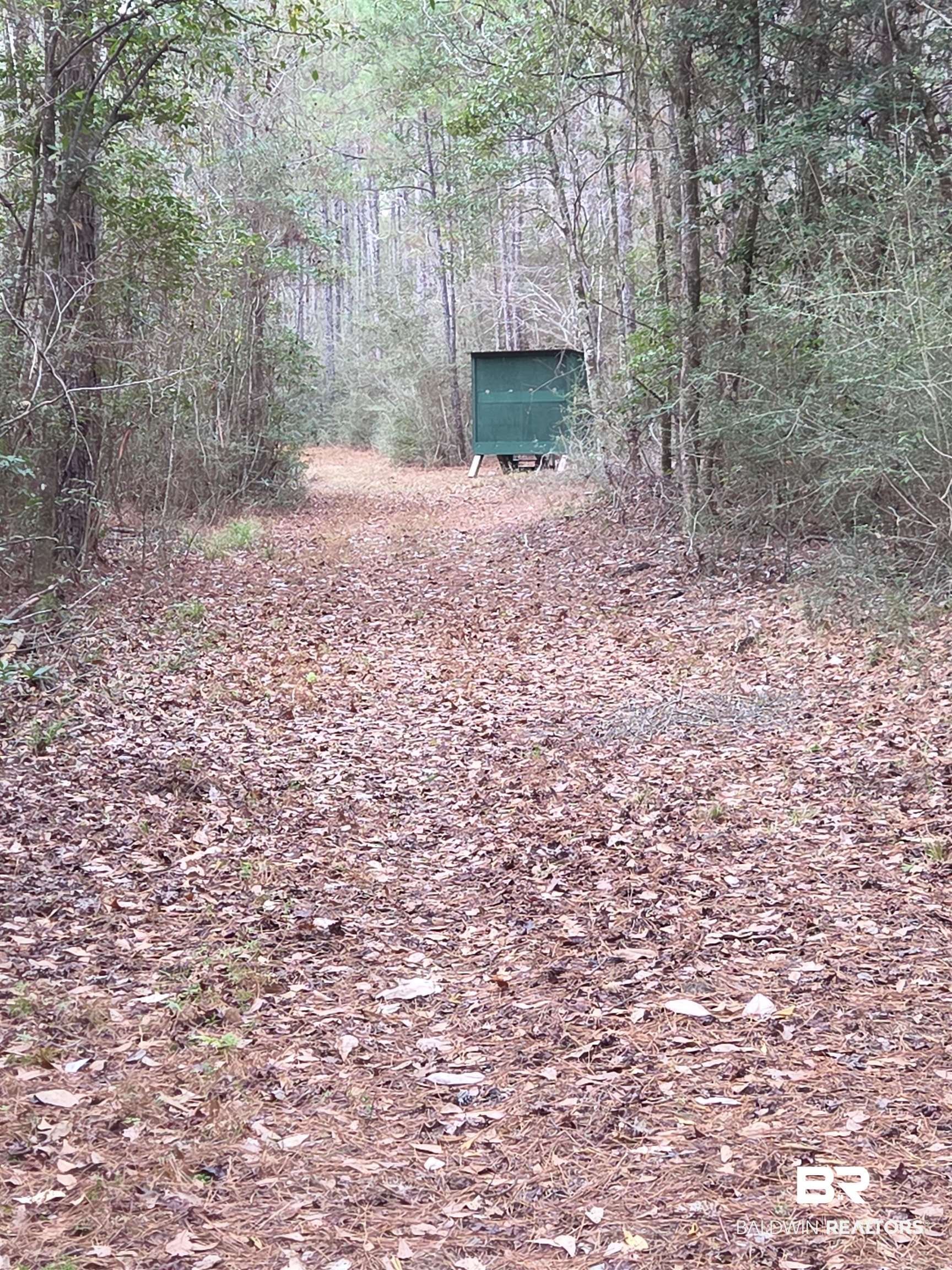 390773 | Photo 27