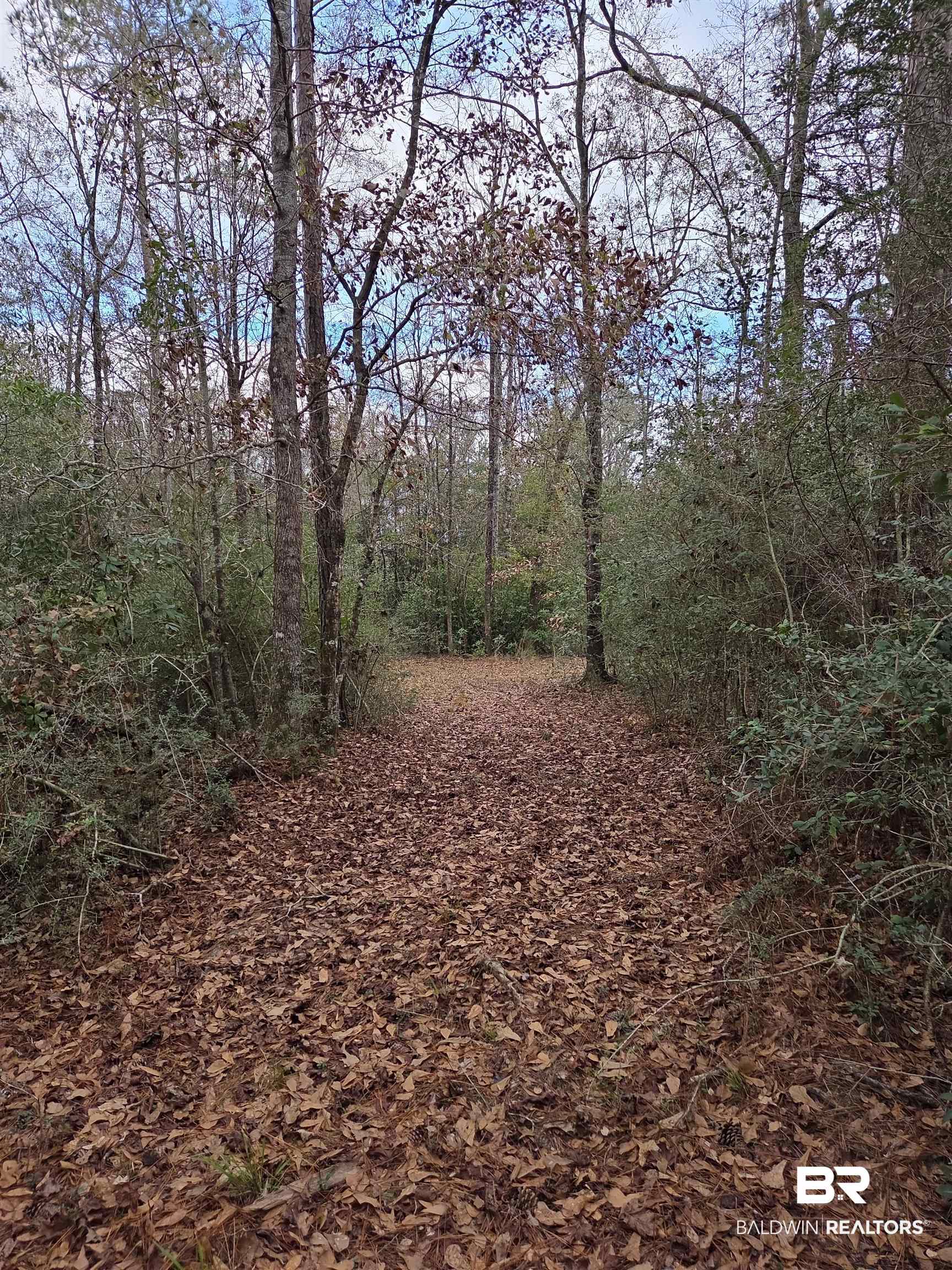 390773 | Photo 28