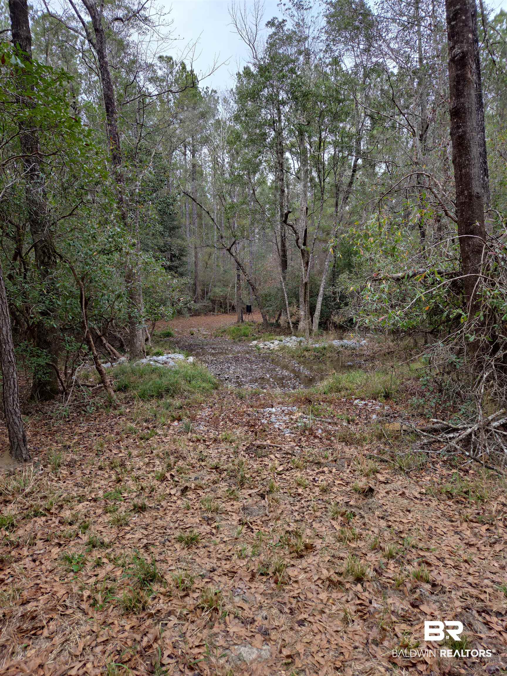 390773 | Photo 30