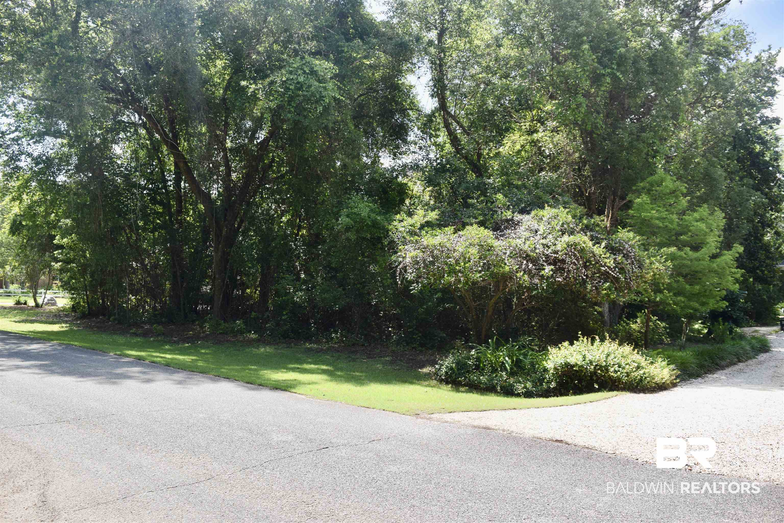 392589 | Photo 13