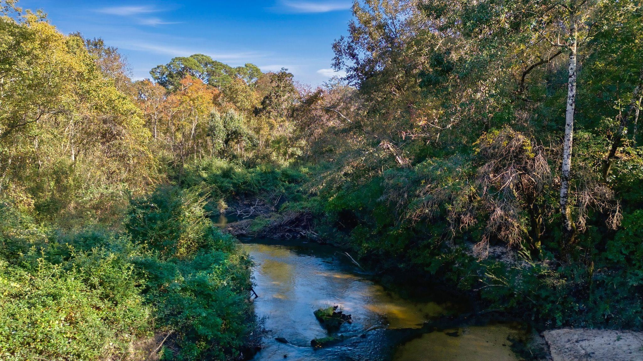 387740 | Photo 50
