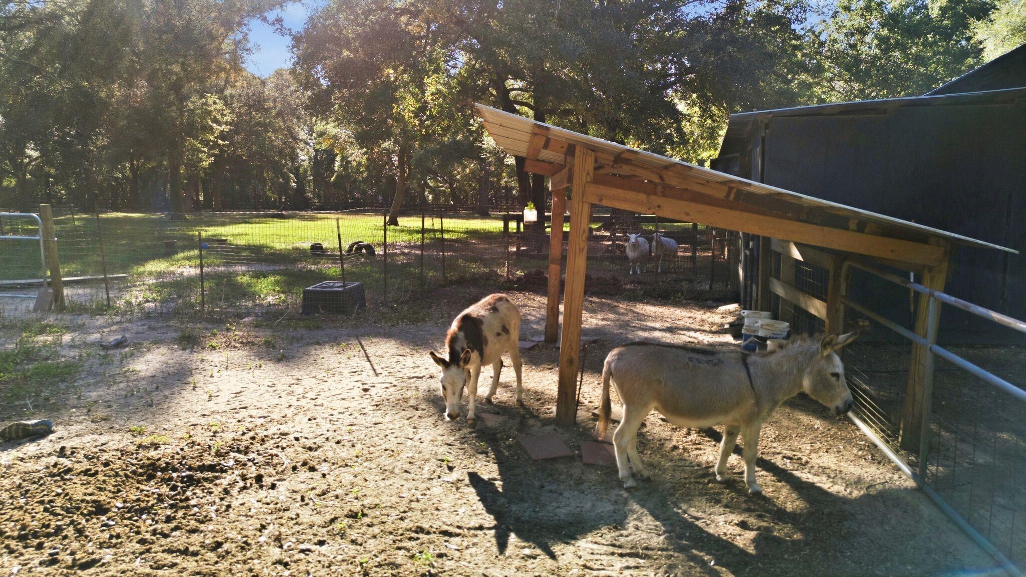 387740 | Photo 75