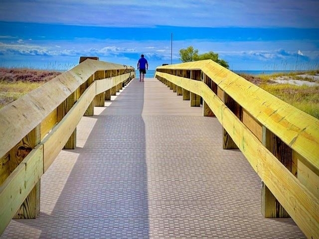 375666 | Photo 6