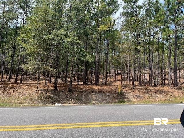 Land For Sale in Spanish Fort AL