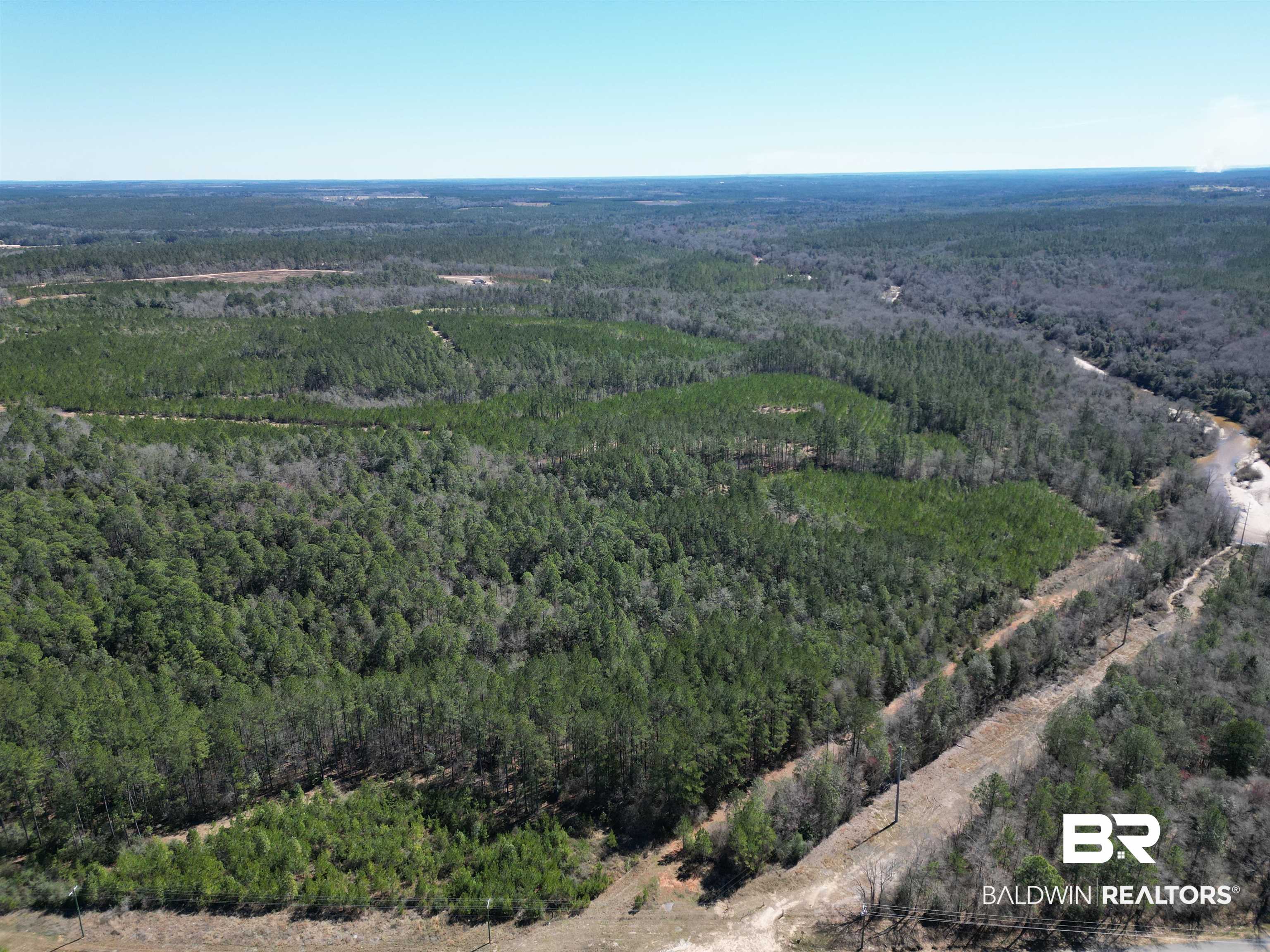 390192 | Photo 4
