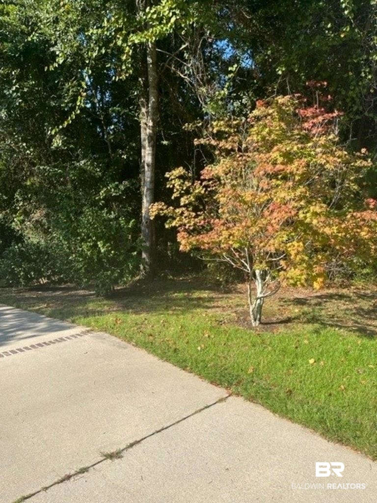 378401 | Photo 2