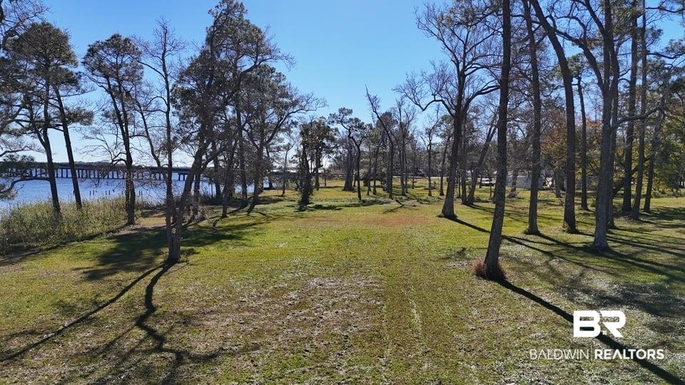 389247 | Photo 14