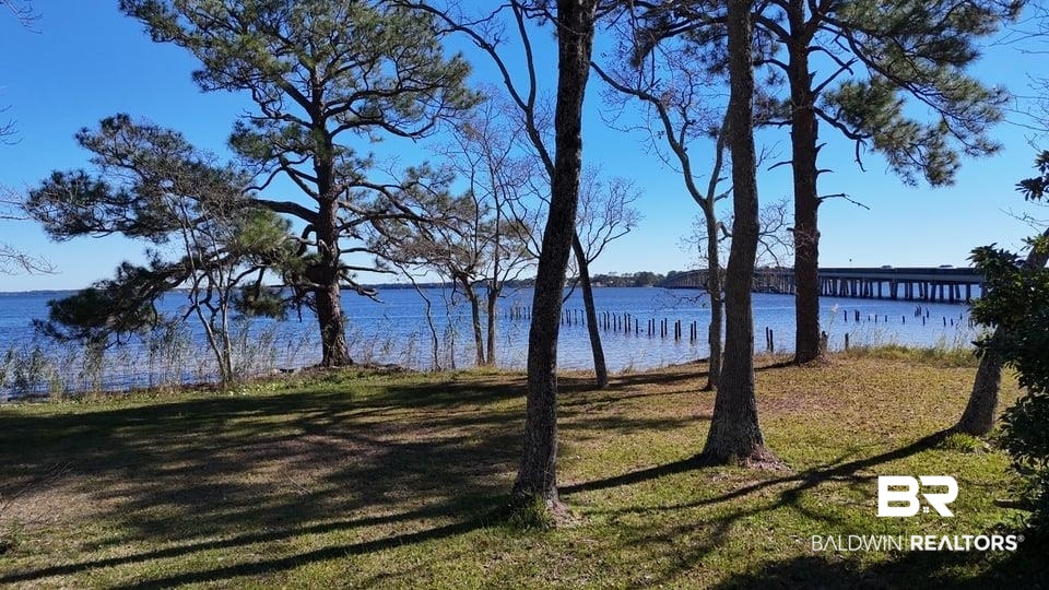 389247 | Photo 20