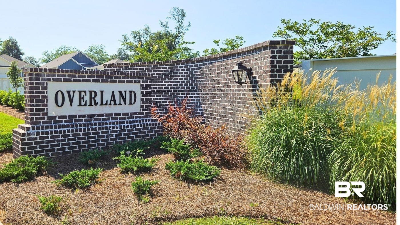 391547 | Photo 34