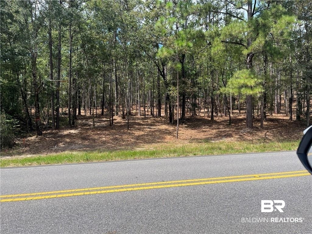 374781 | Photo 5