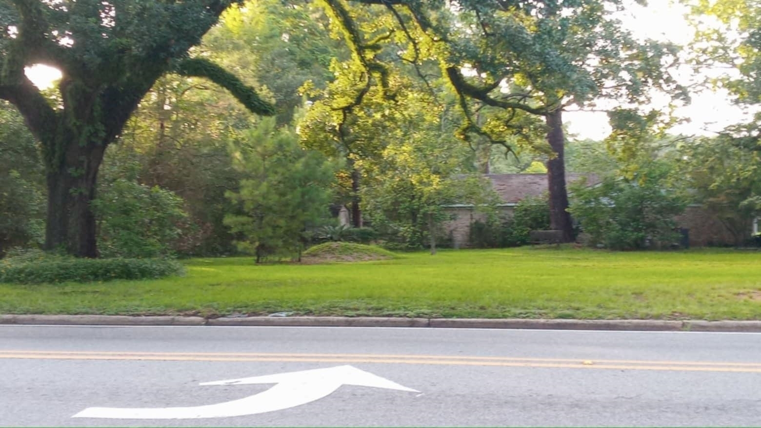 387360 | Photo 2