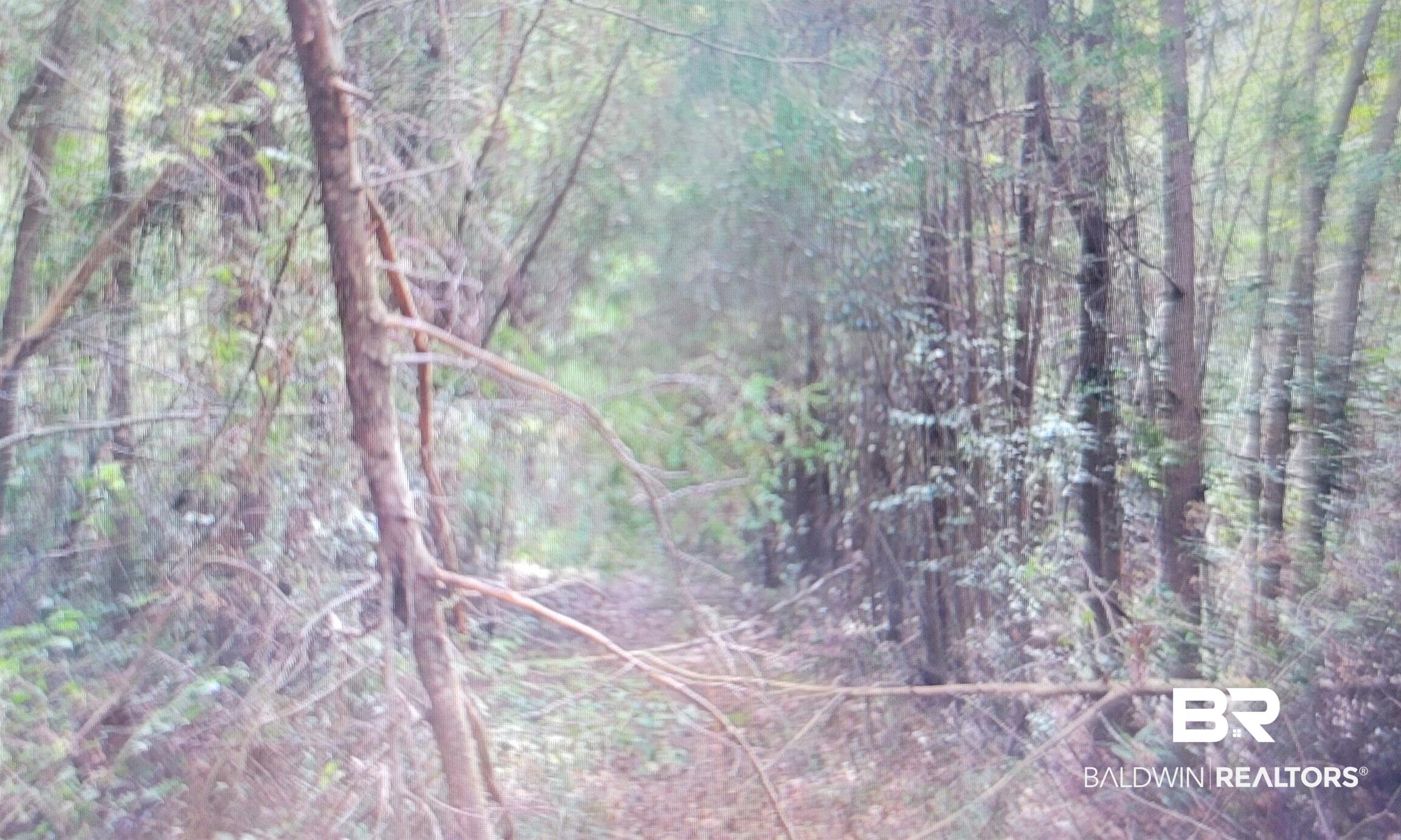 386867 | Photo 9
