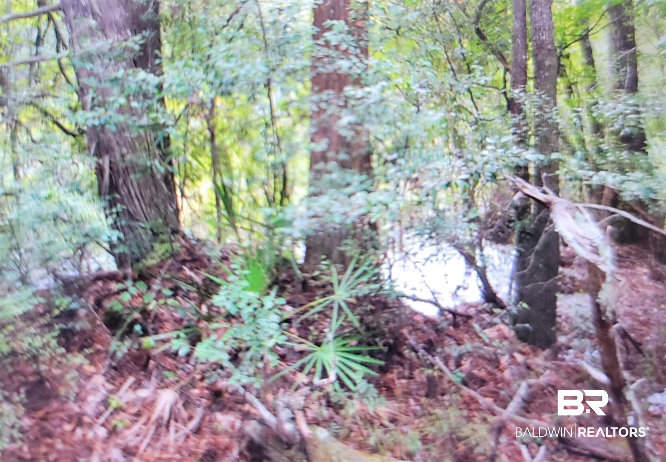 386867 | Photo 21