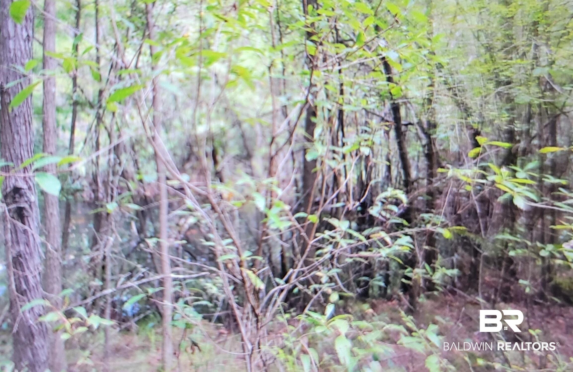 386867 | Photo 25