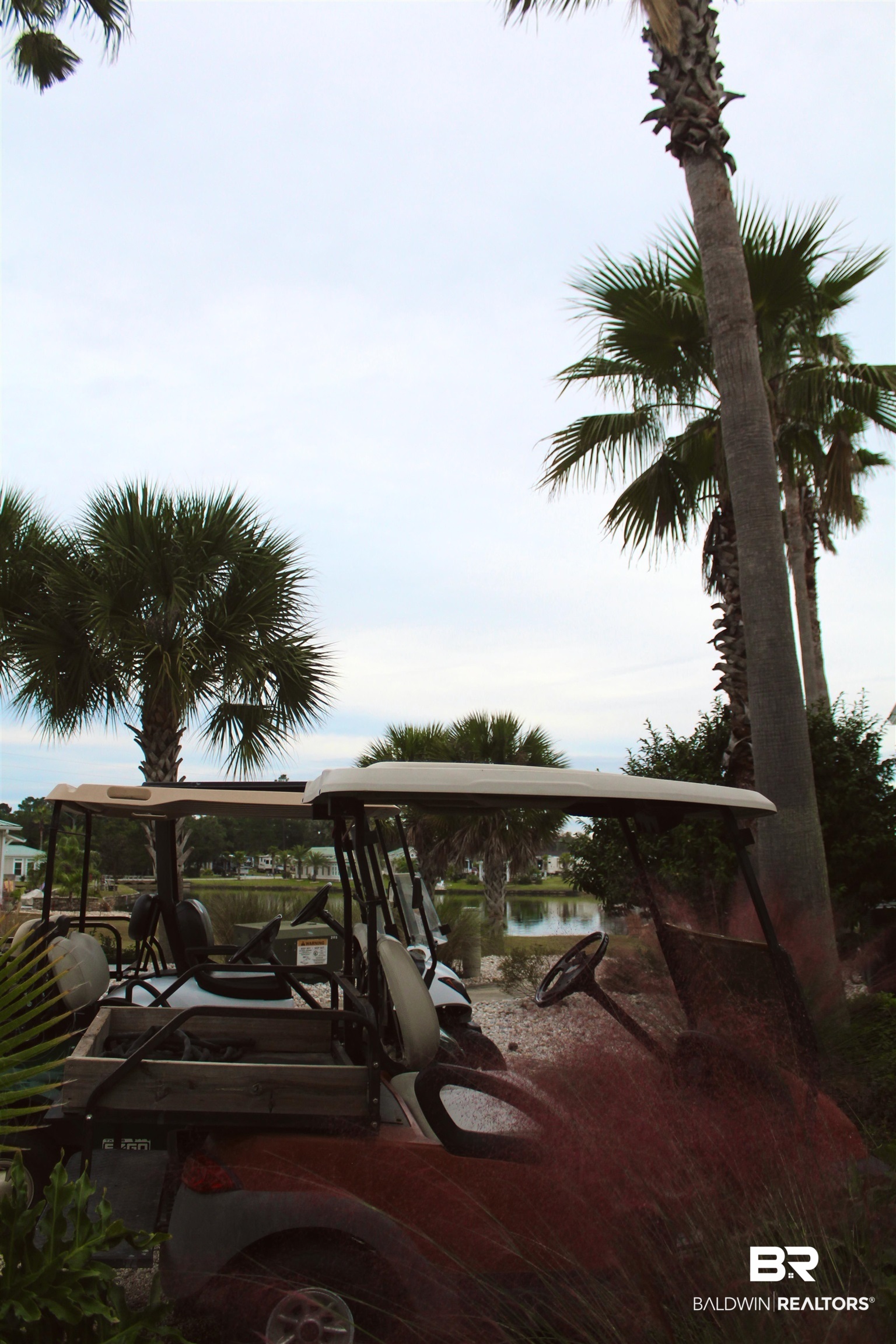 387523 | Photo 57