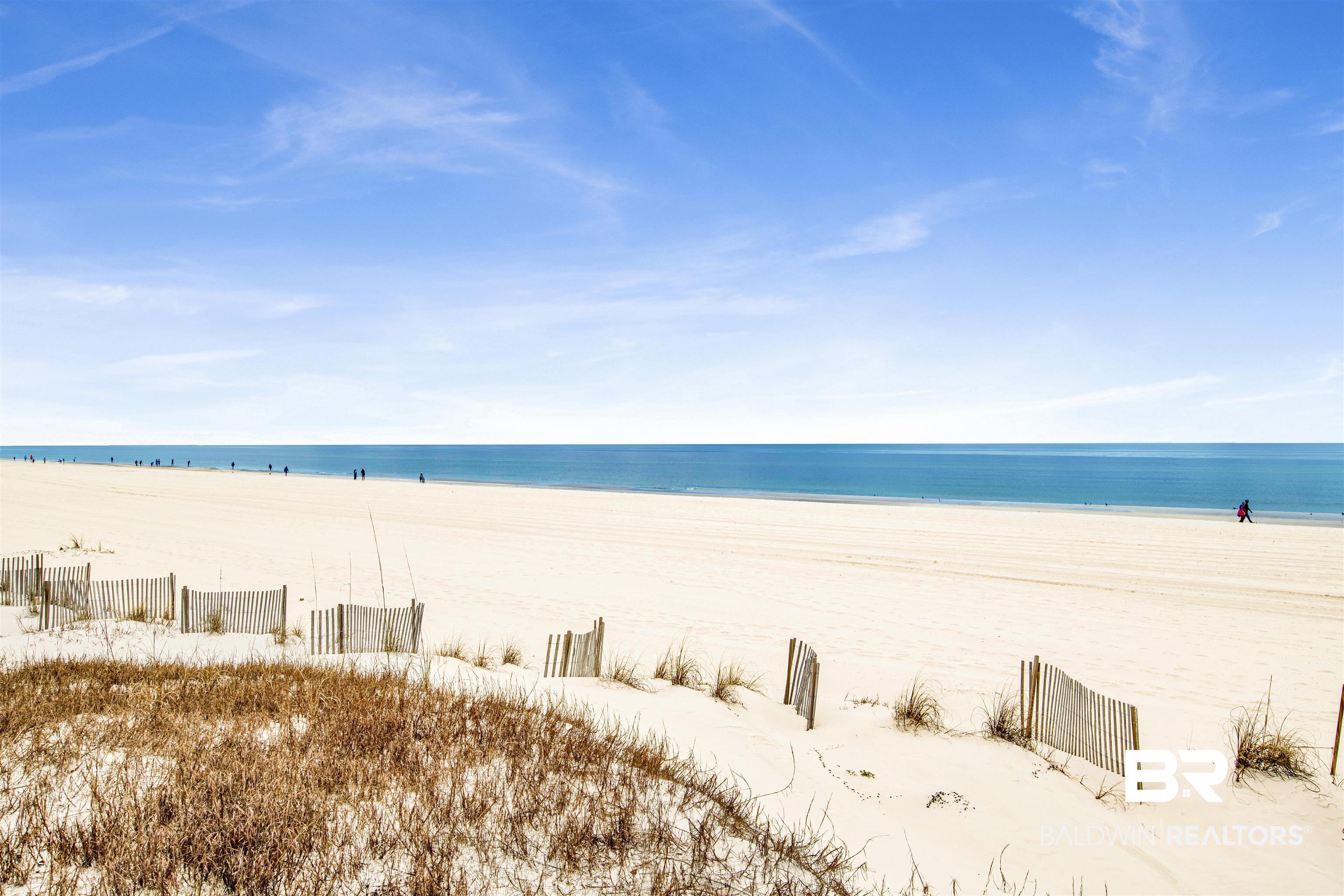 377811 | Photo 7