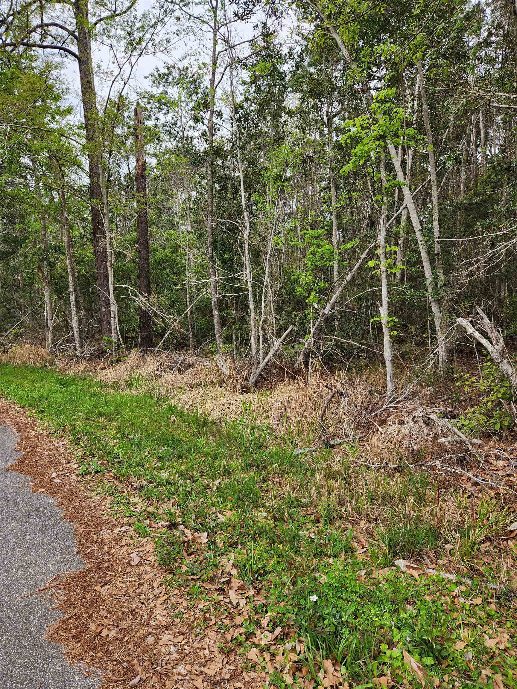 377603 | Photo 2
