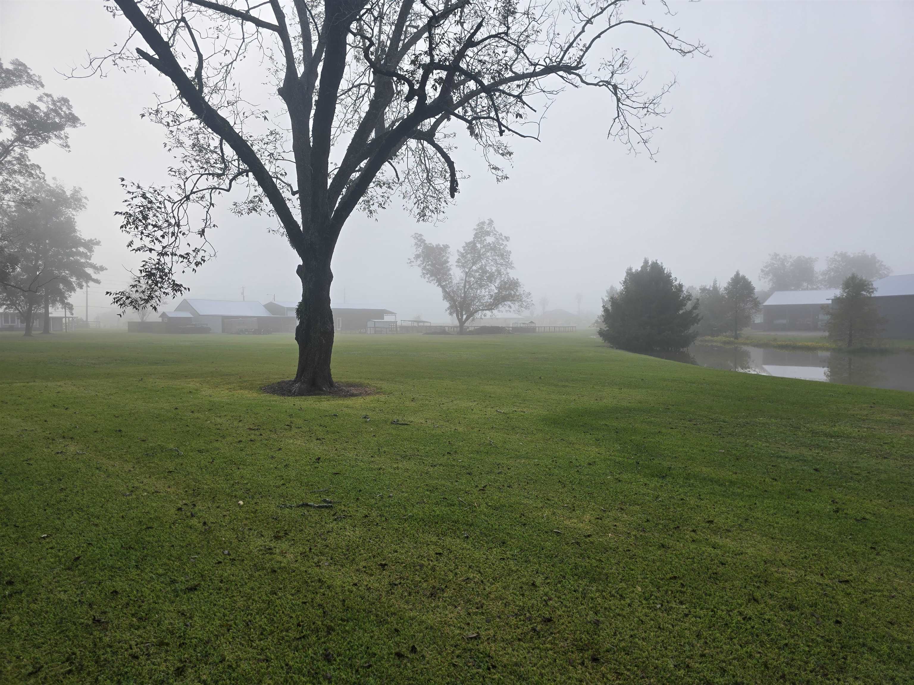 387259 | Photo 25