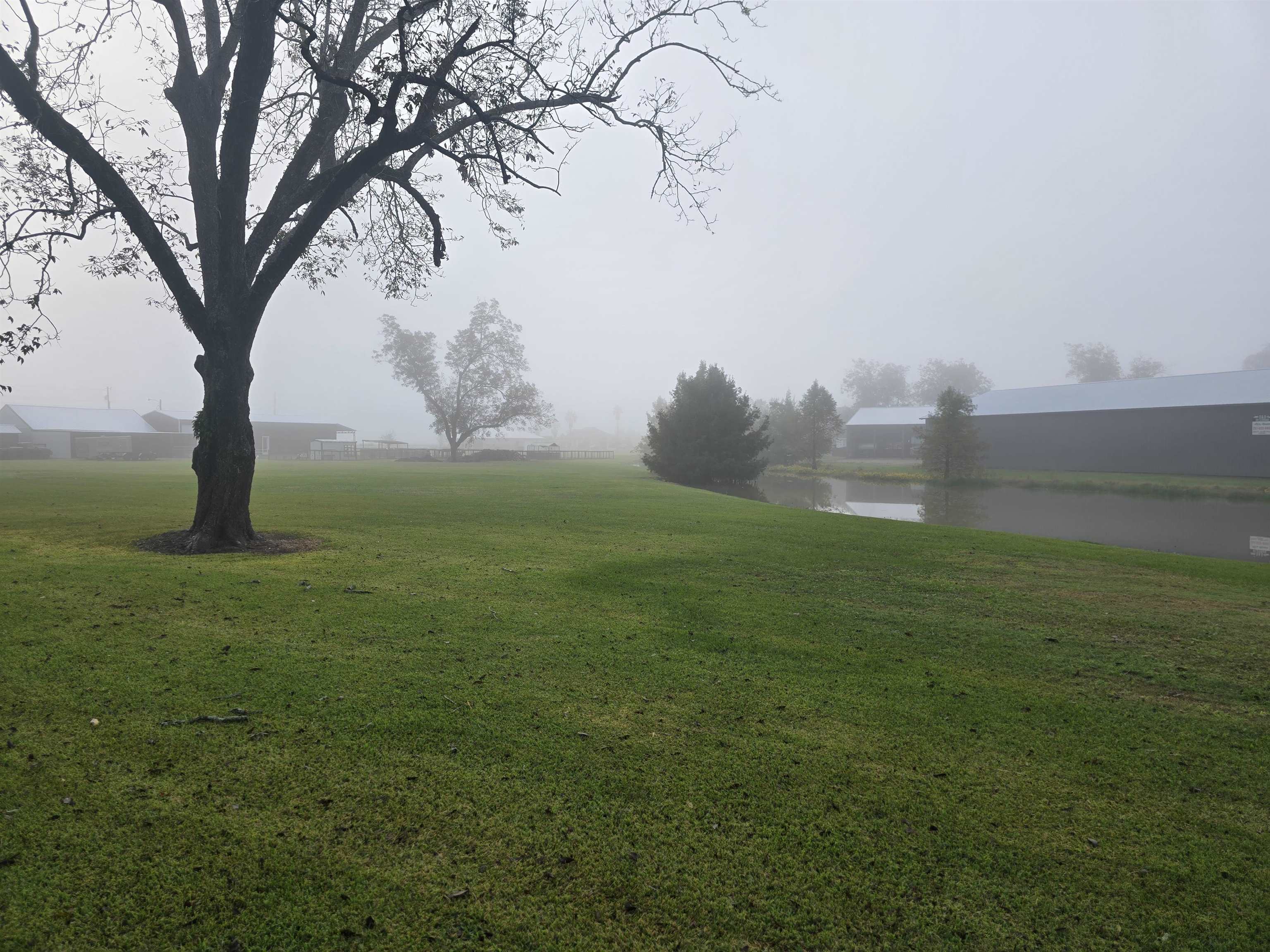 387259 | Photo 27