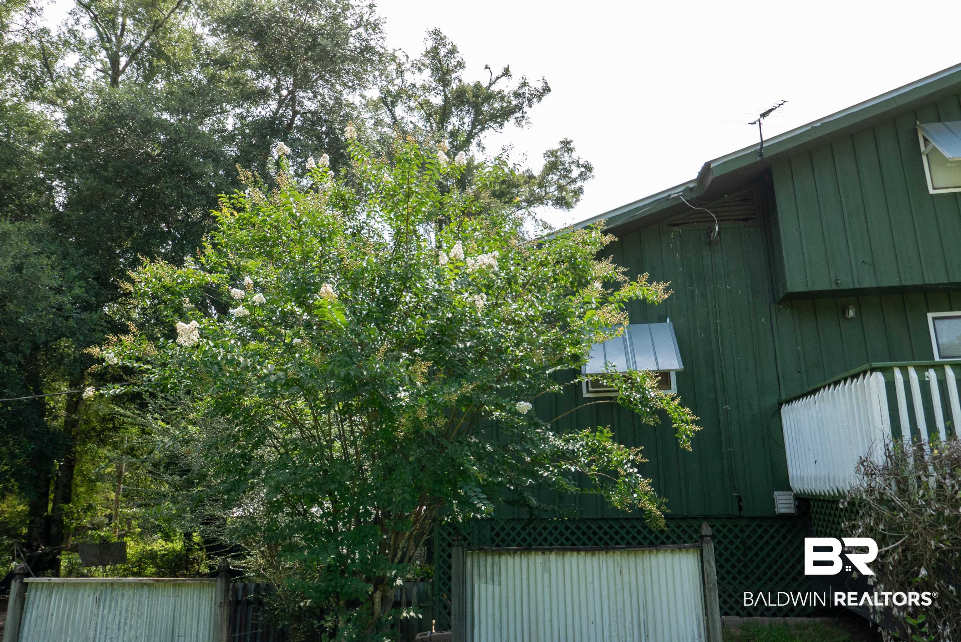 389766 | Photo 20
