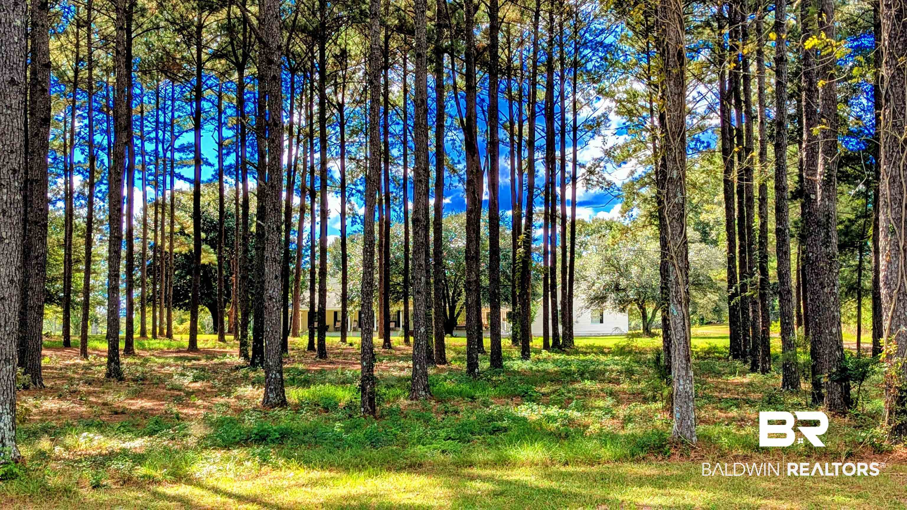 385850 | Photo 70