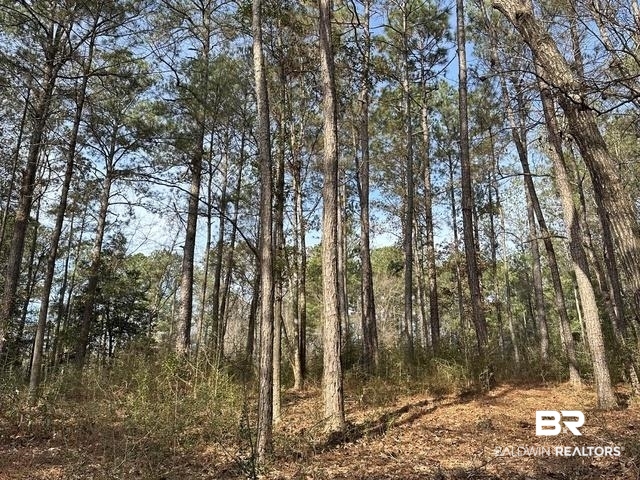 Homes for Sale in Lakeview Estates - Foley AL