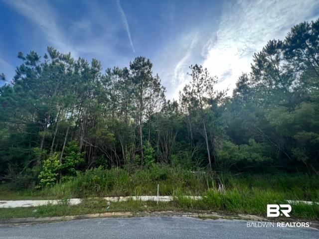 Land For Sale in Spanish Fort AL