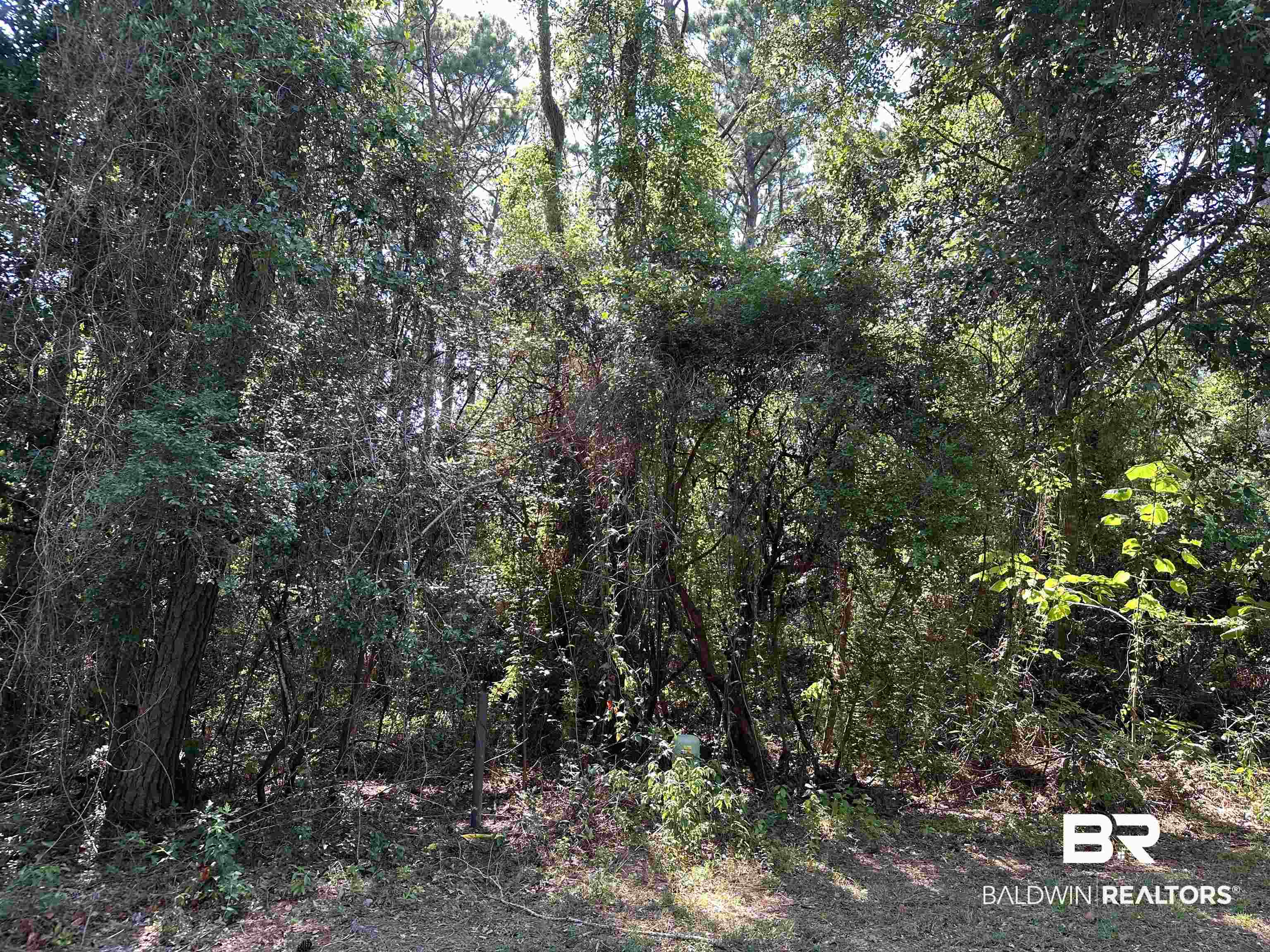 Land For Sale in Fairhope AL