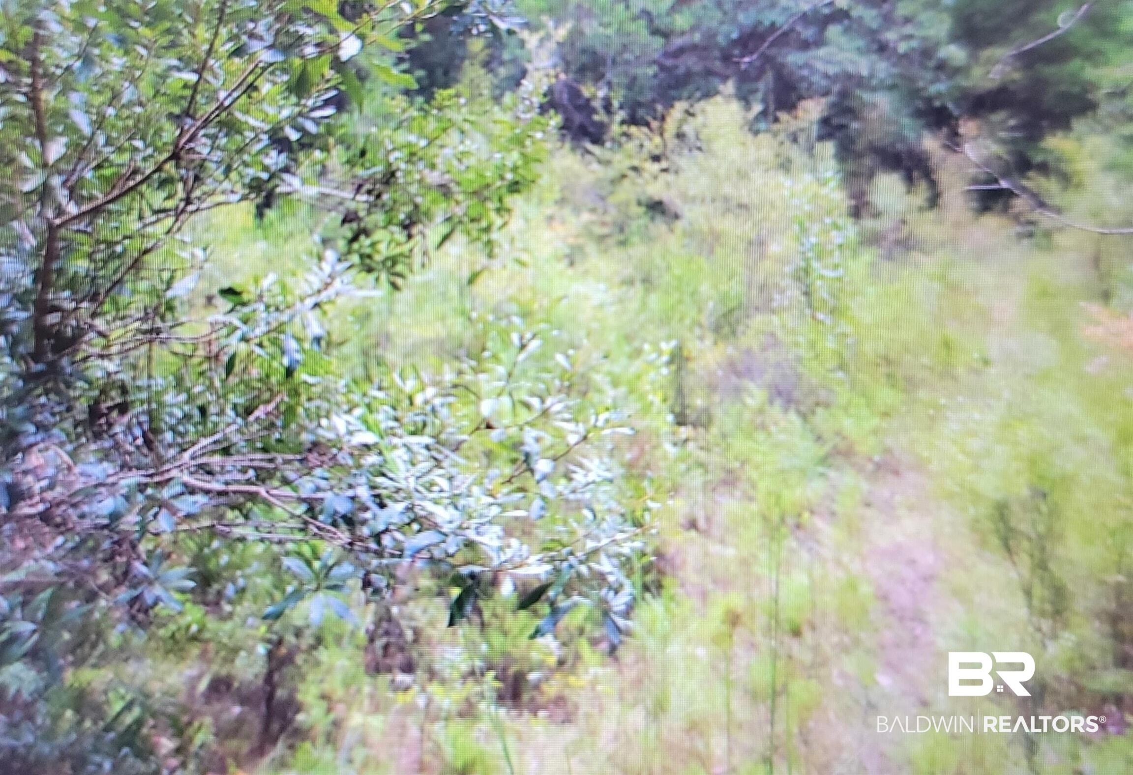 386868 | Photo 2