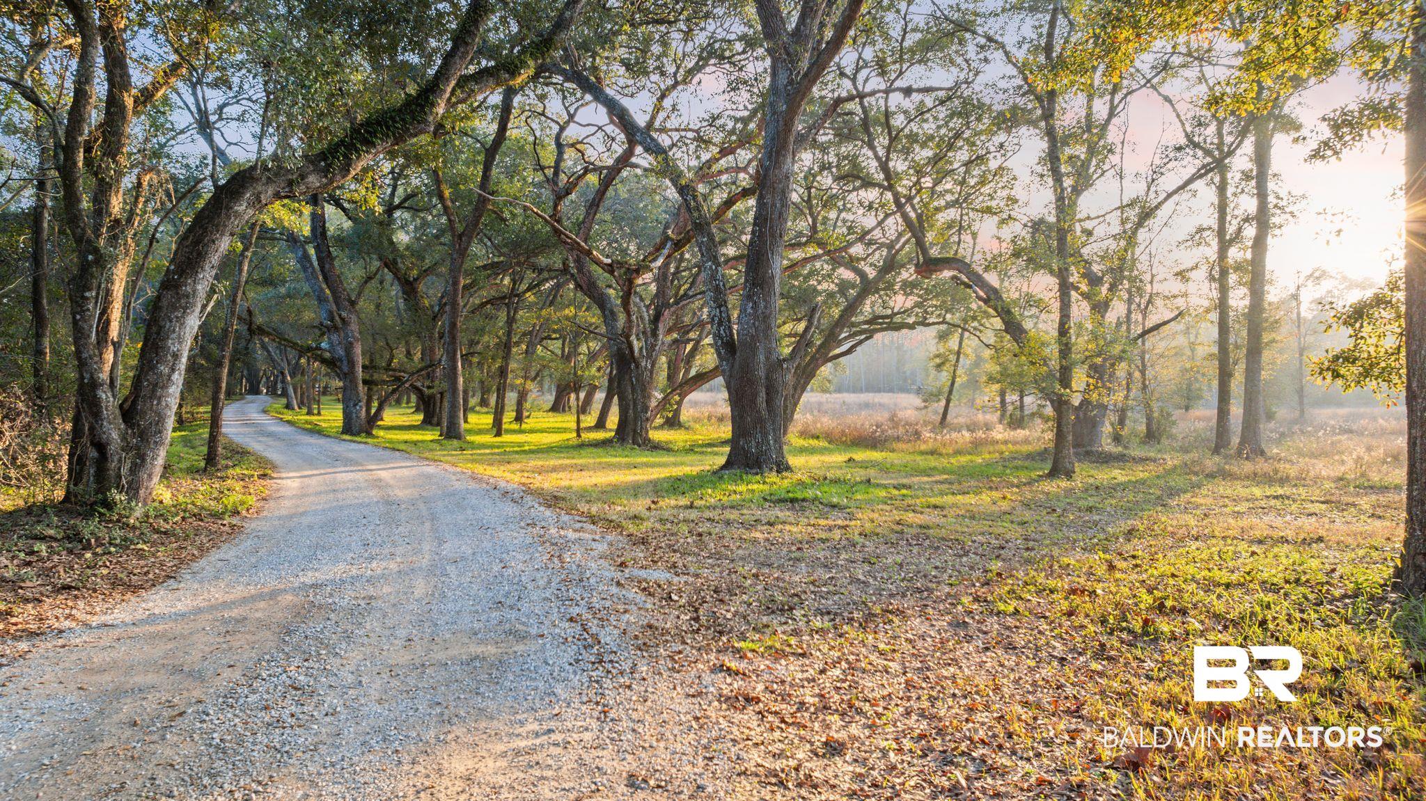 Land For Sale in Fairhope AL