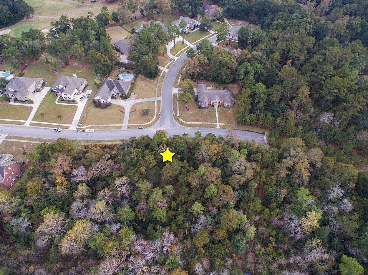 386881 | Photo 4