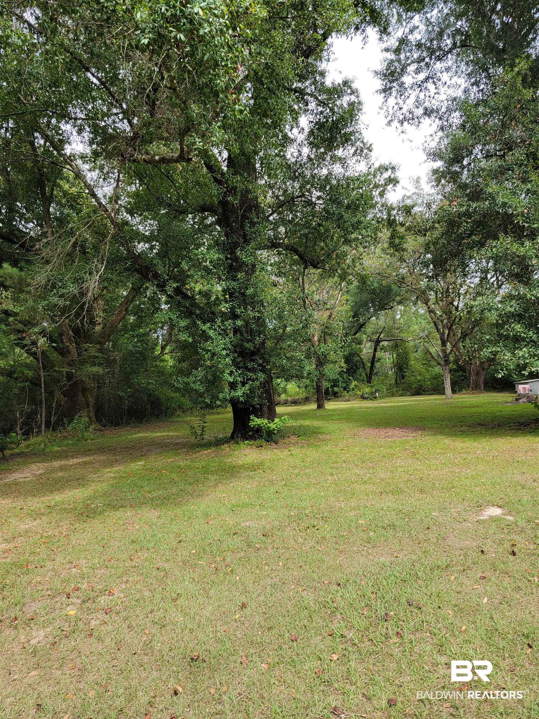 387480 | Photo 2