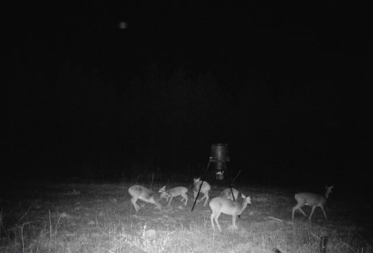 386632 | Photo 21