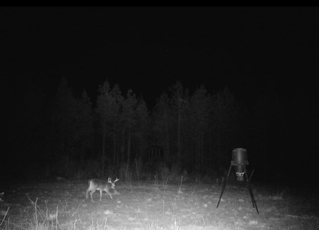 386632 | Photo 22