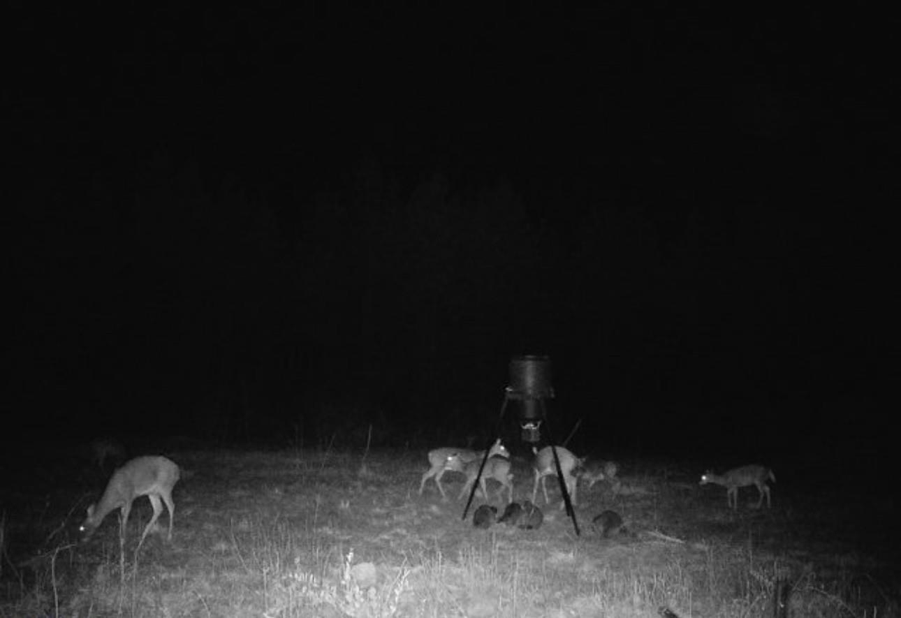 386632 | Photo 23