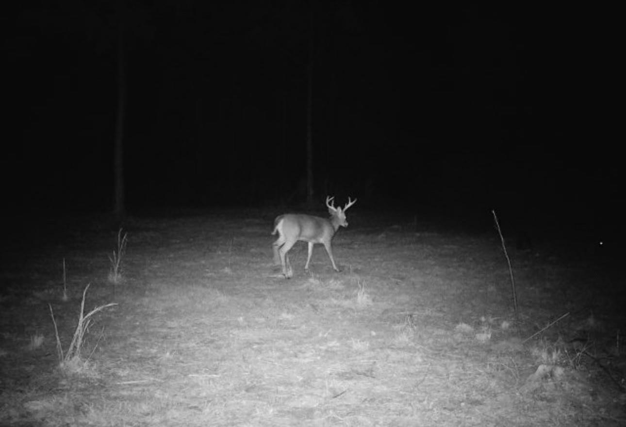 386632 | Photo 24