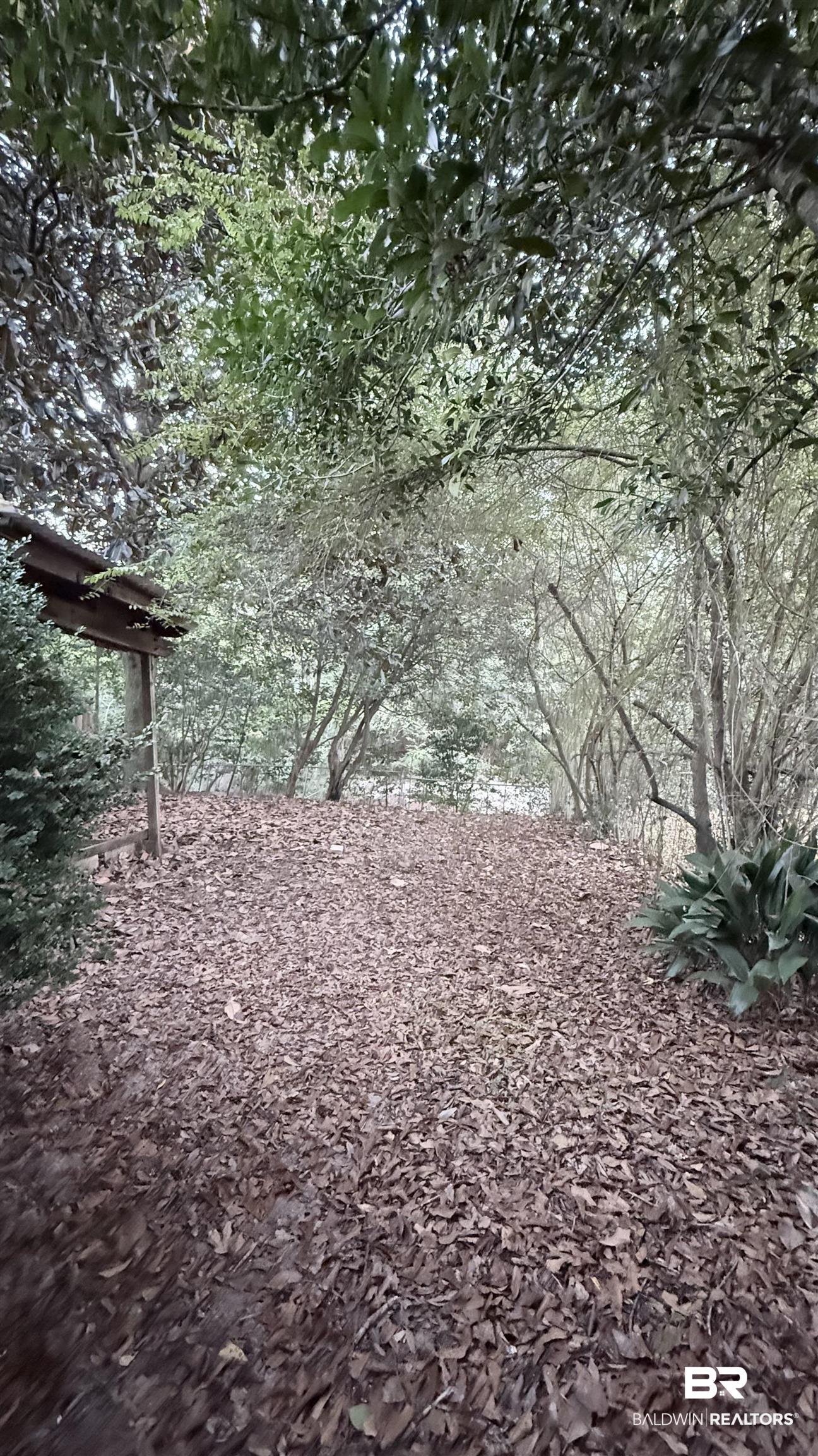 388244 | Photo 10