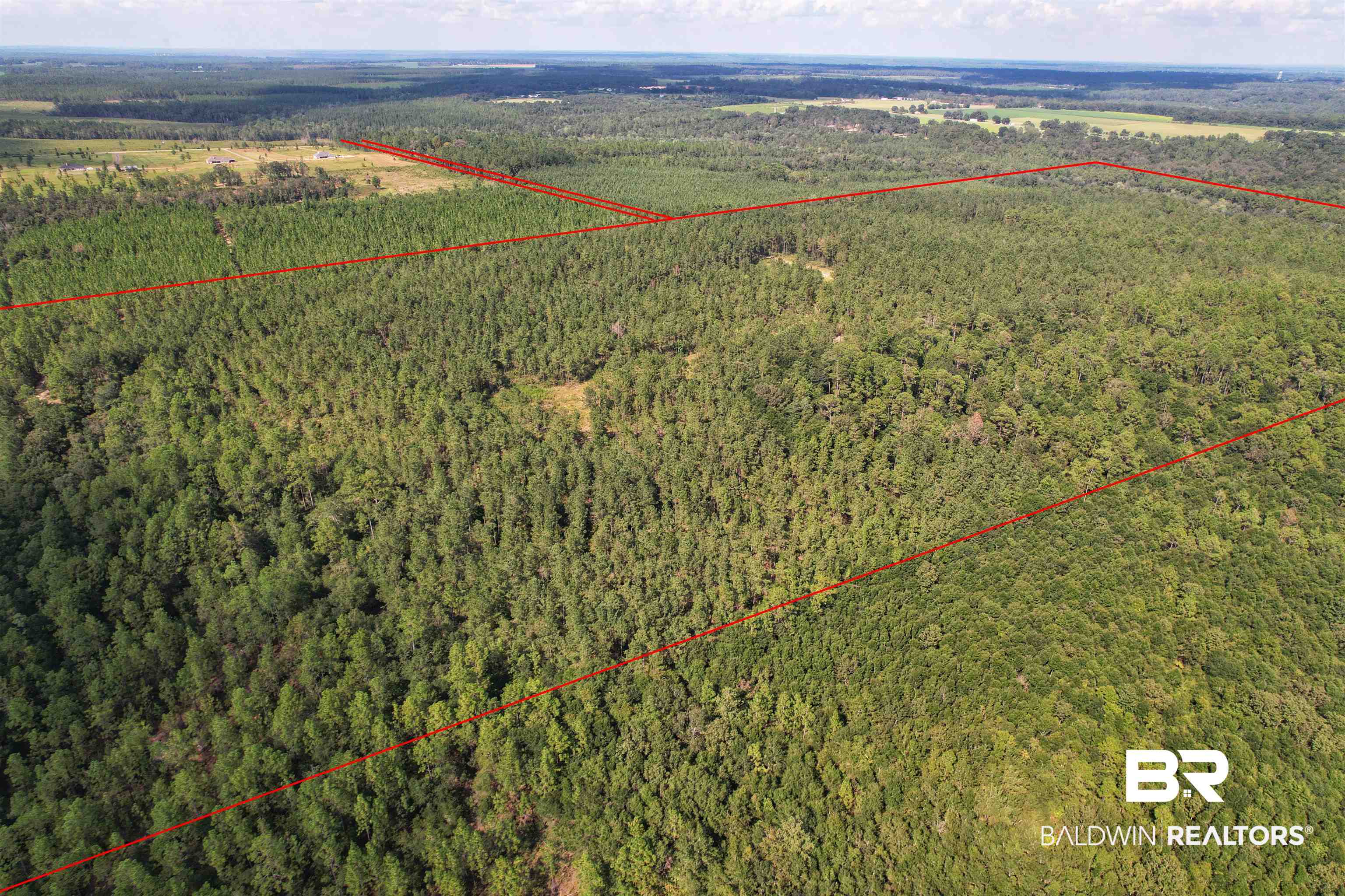 Photo 1 of Land at 0 Highway 168, Century, FL 32535 | MLS# 327024 |  | Sold on 2023-05-26