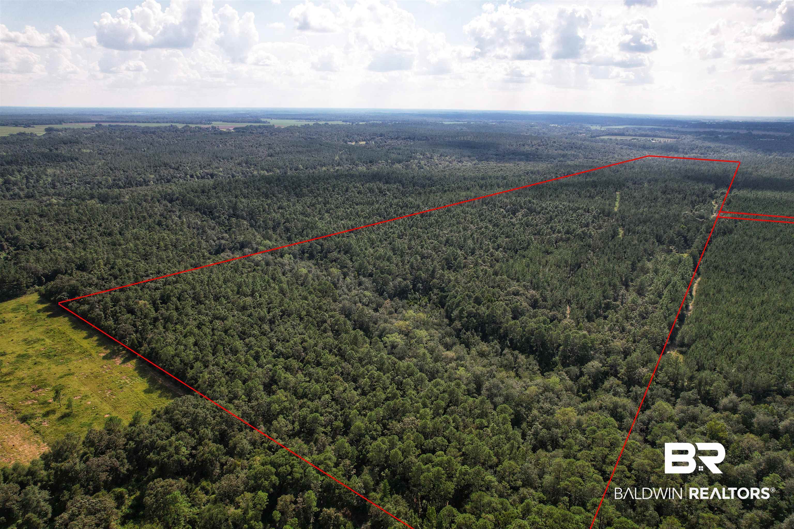 Photo 3 of Land at 0 Highway 168, Century, FL 32535 | MLS# 327024 |  | Sold on 2023-05-26