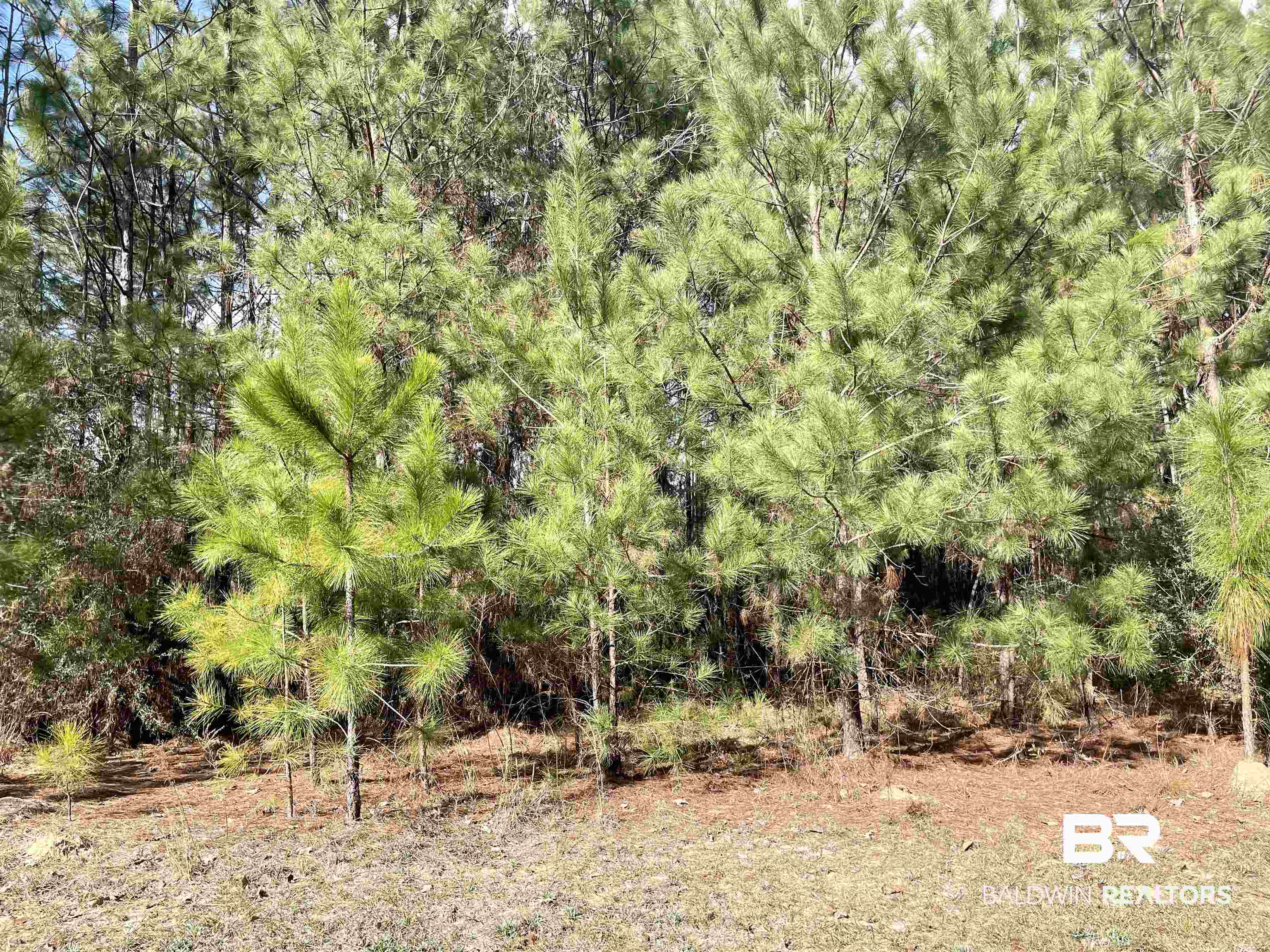 2nd image of 0 Juniper Crk Dr, Brewton, AL 36426 | MLS# 344566