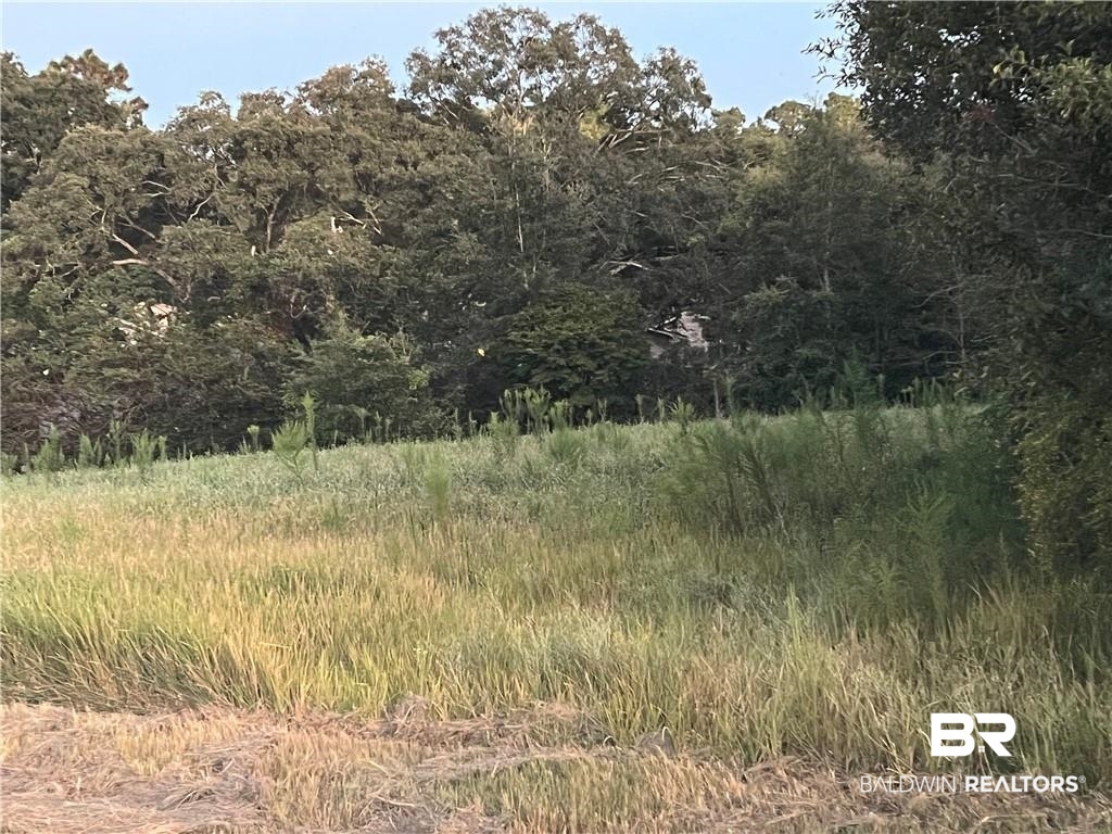 2nd image of 0 Grelot Rd, Mobile, AL 36695 | MLS# 368659