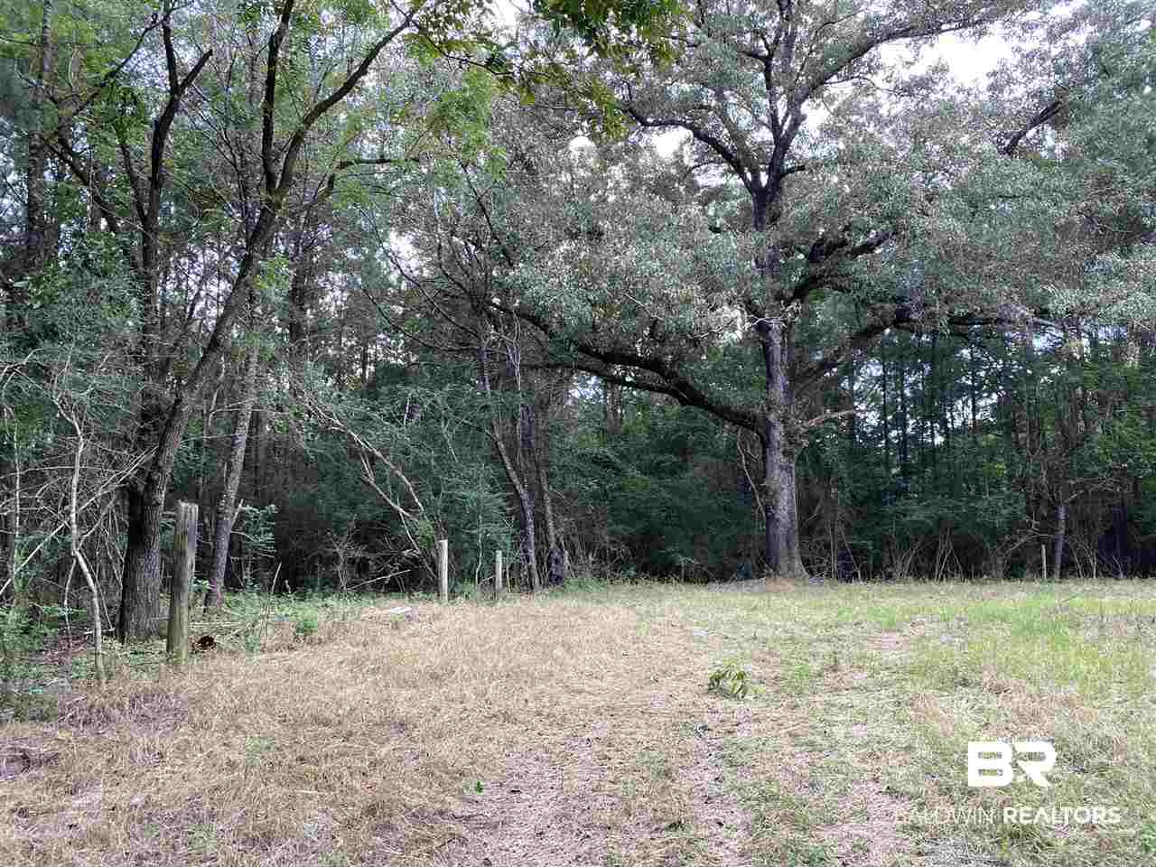 1st image of 0 Highway 31, Brewton, AL 36426 | MLS# 303966