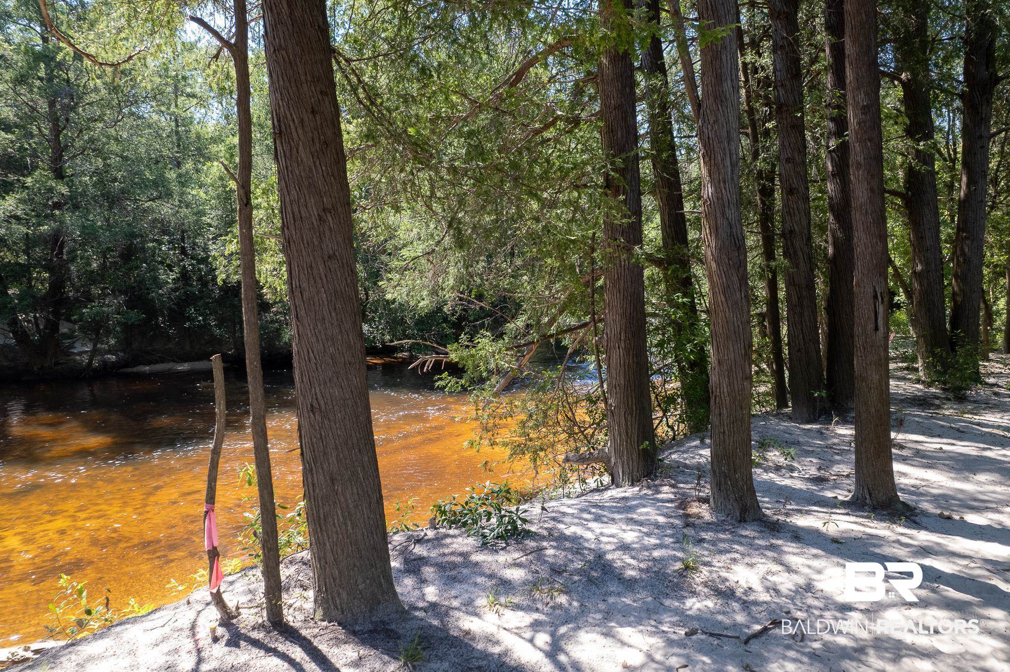 1st image of 2588 Wolf Log Rd, Flomaton, AL 36441 | MLS# 332745