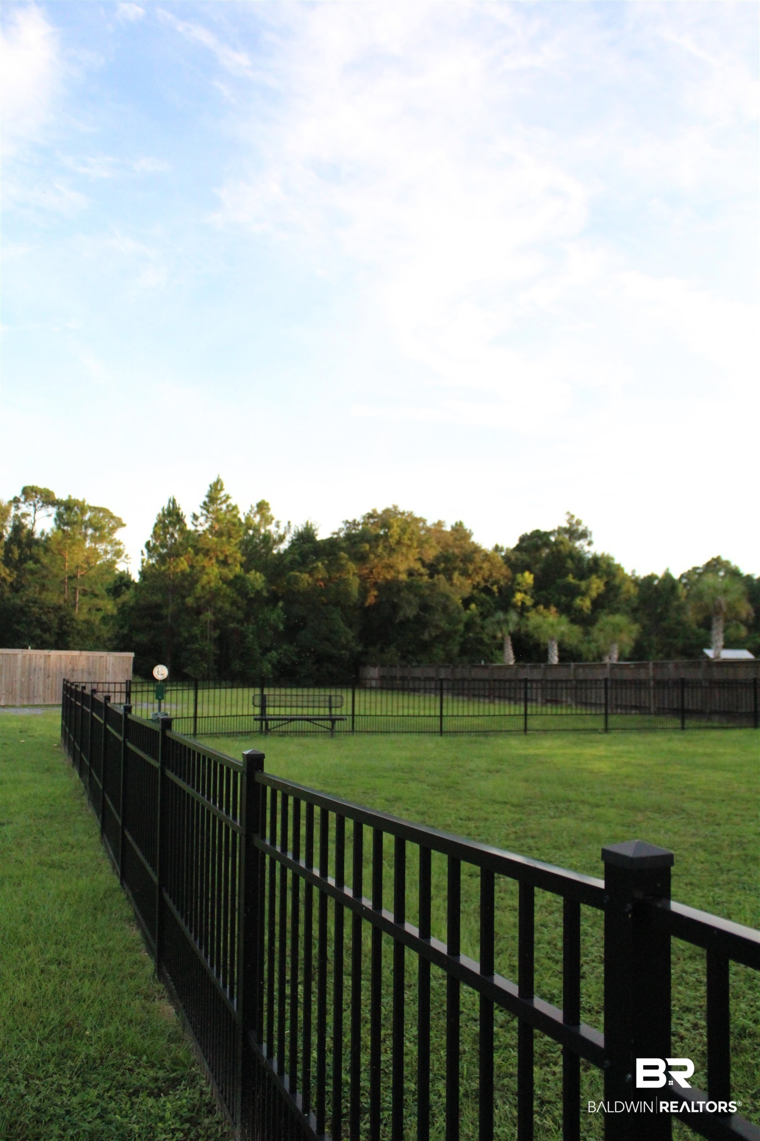 393373 | Photo 13