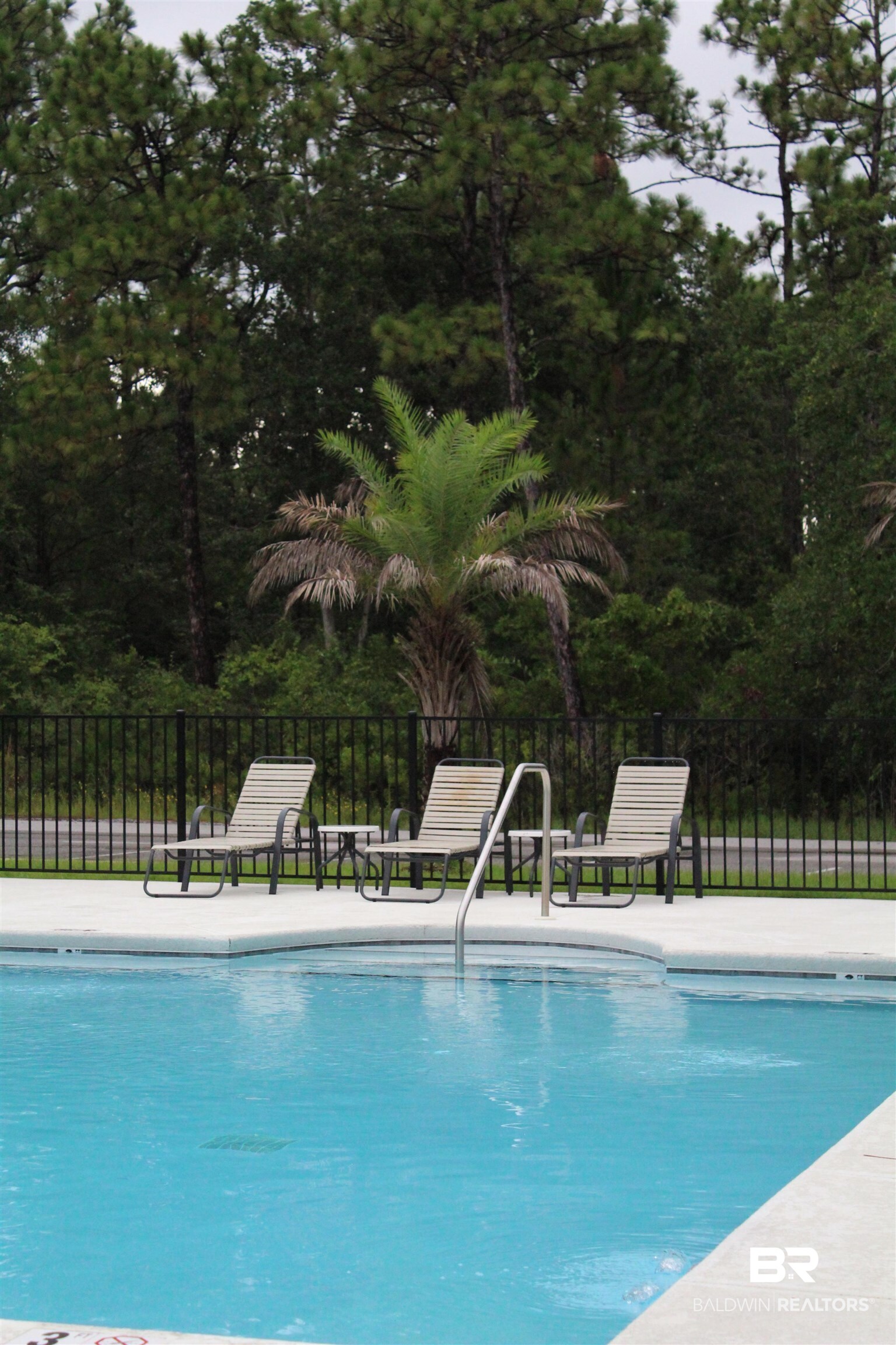 393373 | Photo 16